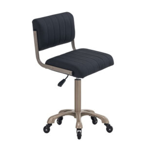 medical stool comes with padded seat and backrest