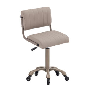 medical stool comes with padded seat and backrest