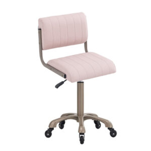 medical stool comes with padded seat and backrest